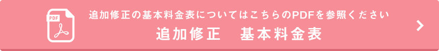 追加修正　基本料金表