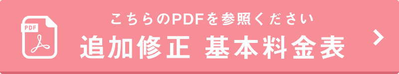 追加修正　基本料金表